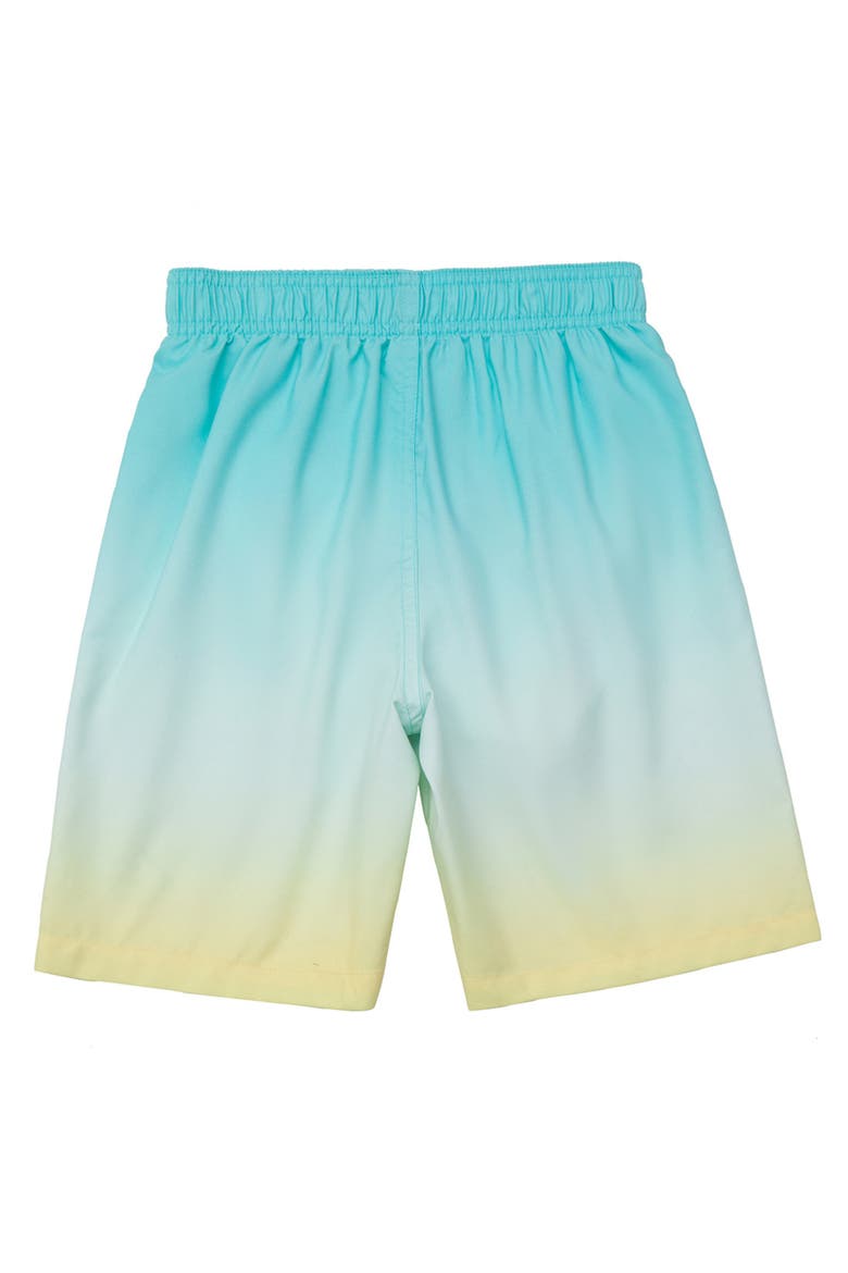 Swim Trunks with Mesh Lining UPF 50+, Alternate, color, Mint vibes