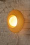 Eggshell
