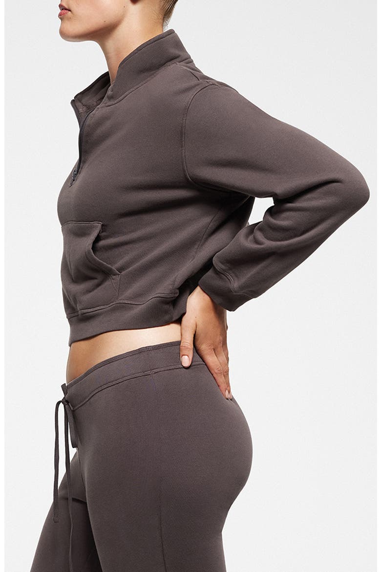 Shrunken Organic Cotton Half Zip Pullover, Alternate, color, IRON