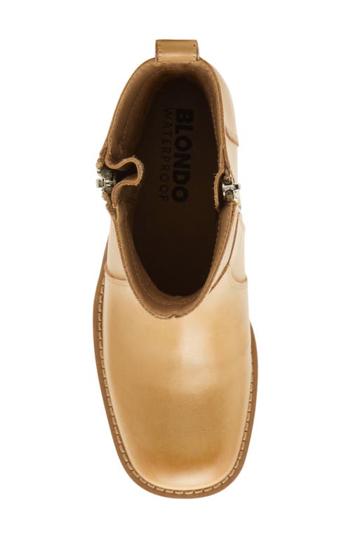 Blondo Carmine Waterproof Bootie