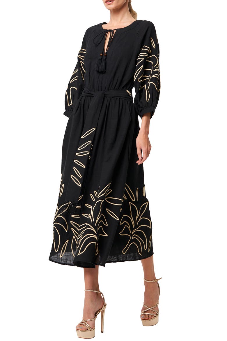 Eliza Embroidered A-Line Dress, Alternate, color, BLACK