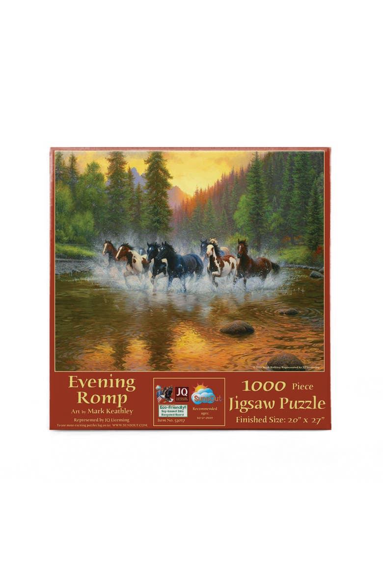 Sunsout Evening Romp 1000 piece Jigsaw Puzzle for Adults, Alternate, color, Multicolor