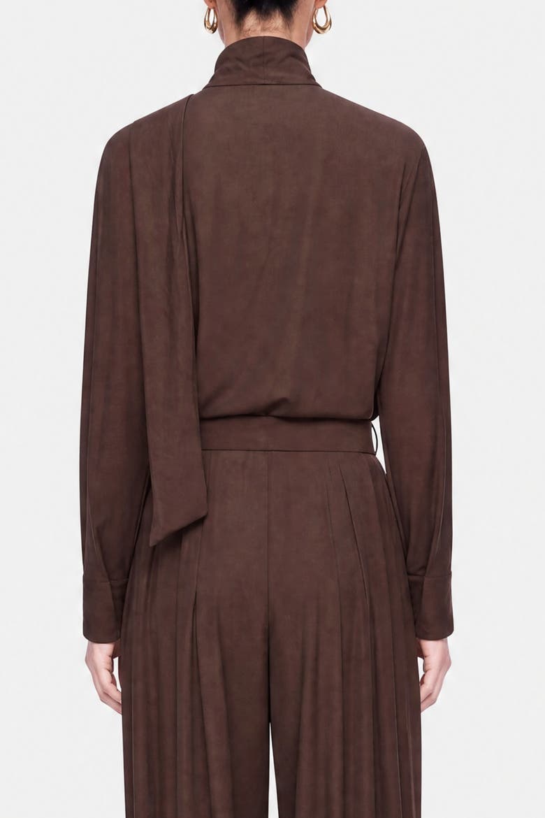 Stone Accessory Stand Collar Blouse, Alternate, color, Brown