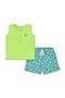 selected Lime Sea Turtles