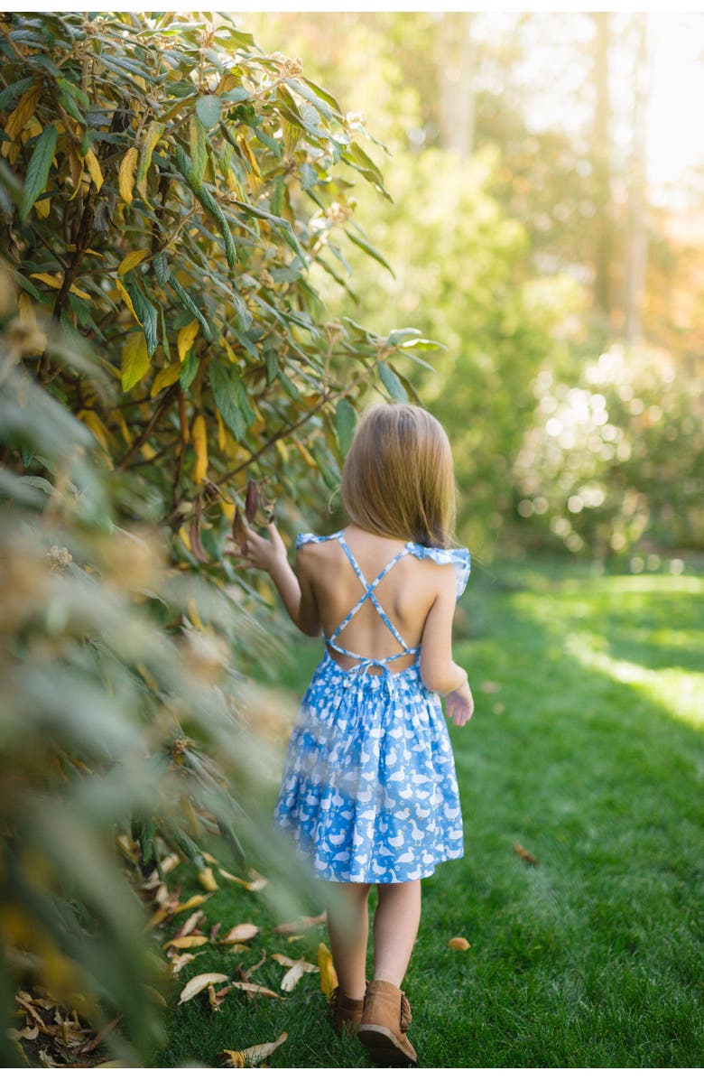 WORTHY THREADS Girls Ruffle Sleeve Dress, Alternate, color, Blue Ducks