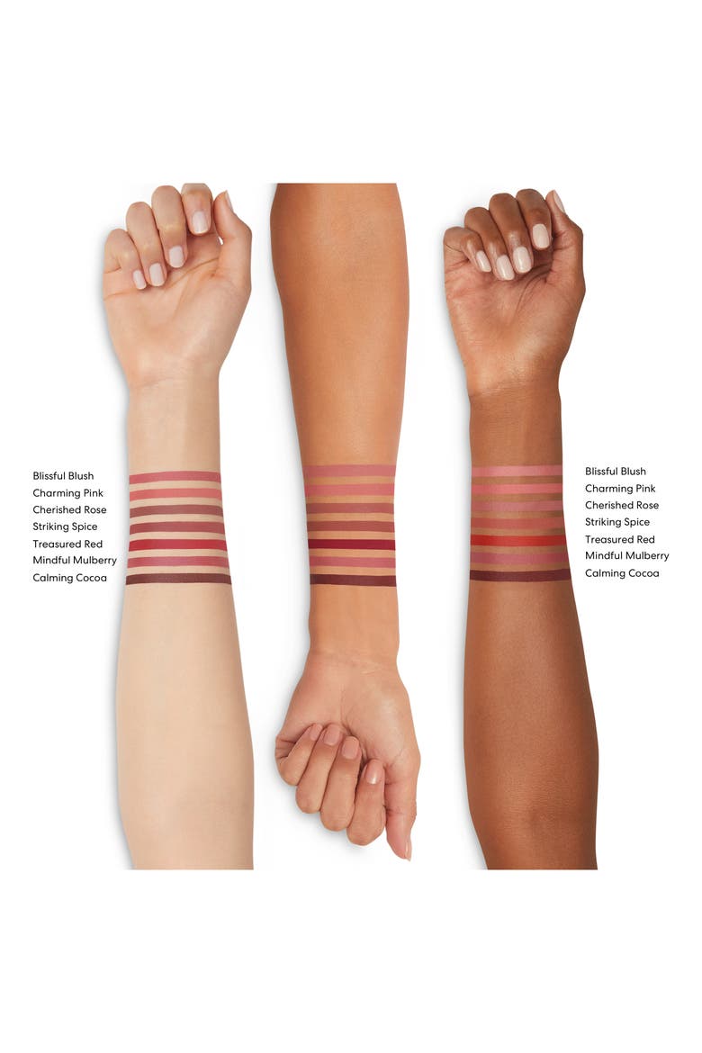 Mineralist Lasting Lip Liner, Alternate, color, TREASURED RED