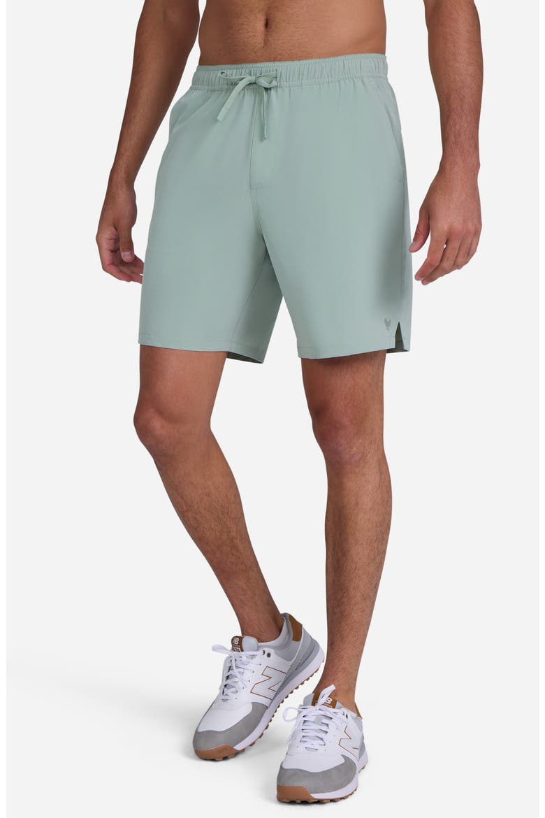 Active Shorts, Alternate, color, WASHED SAGE