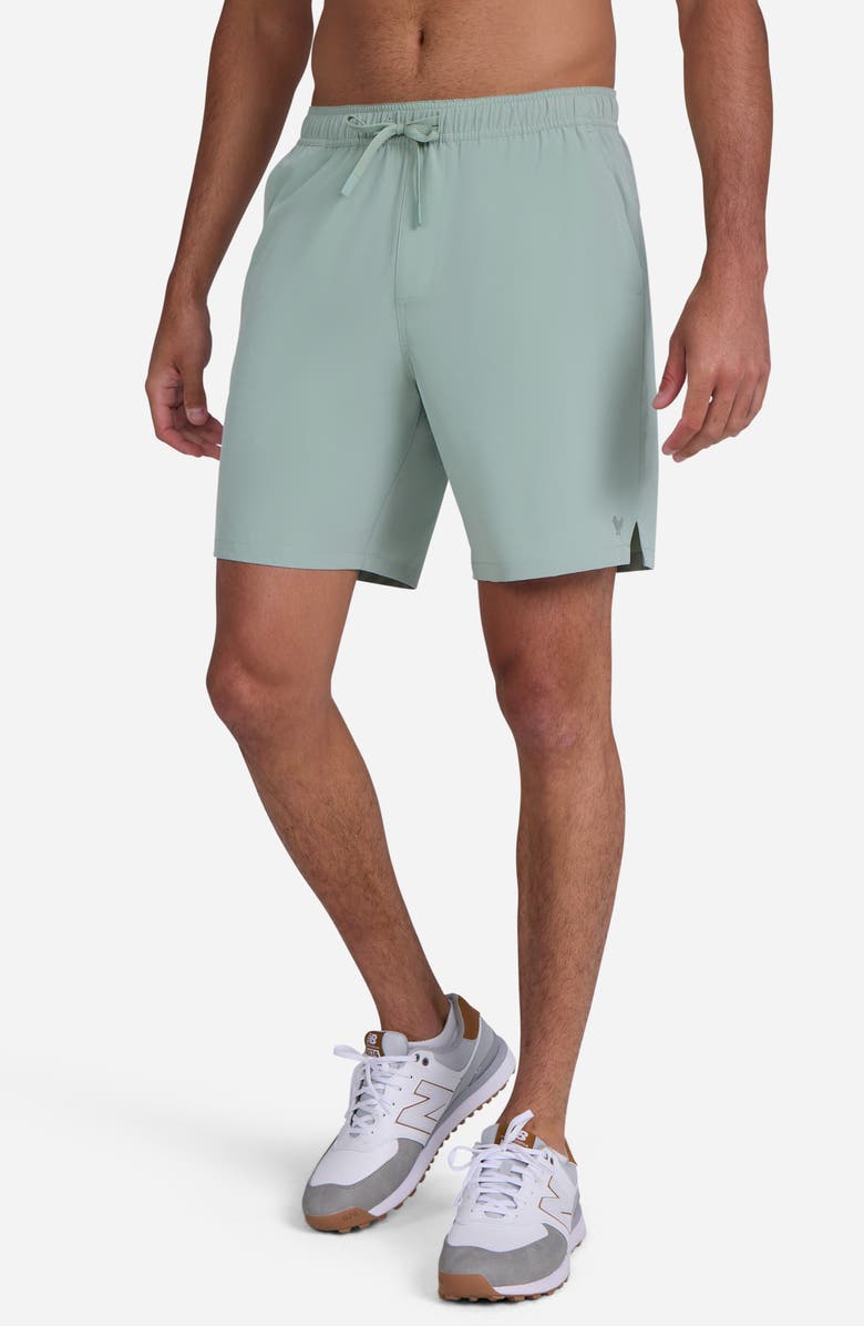 Bad Birdie Active Shorts, Alternate, color, Washed Sage
