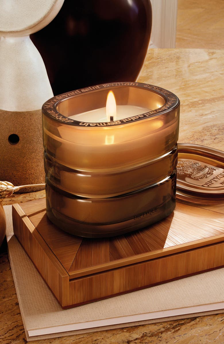 Diptyque Terres Blondes Refillable Candle, Alternate, color, Regular