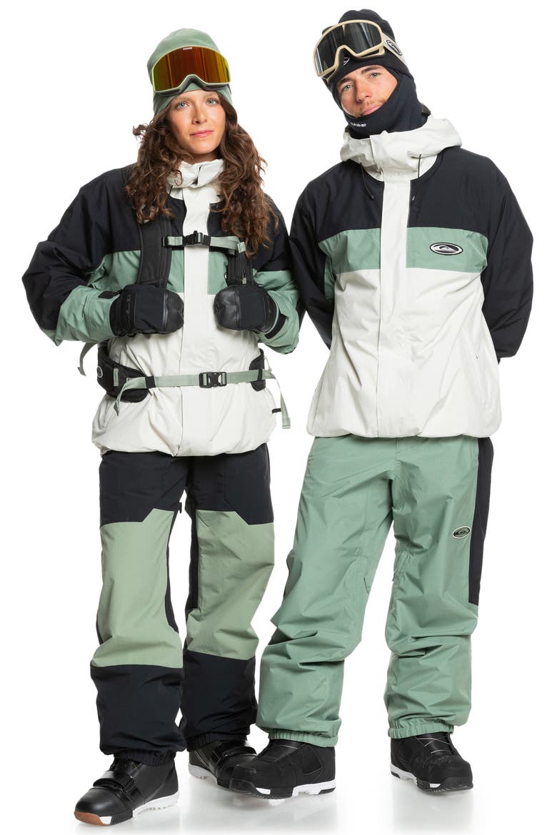 High Altitude Gore-Tex® Snow Jacket, Alternate, color, BIRCH