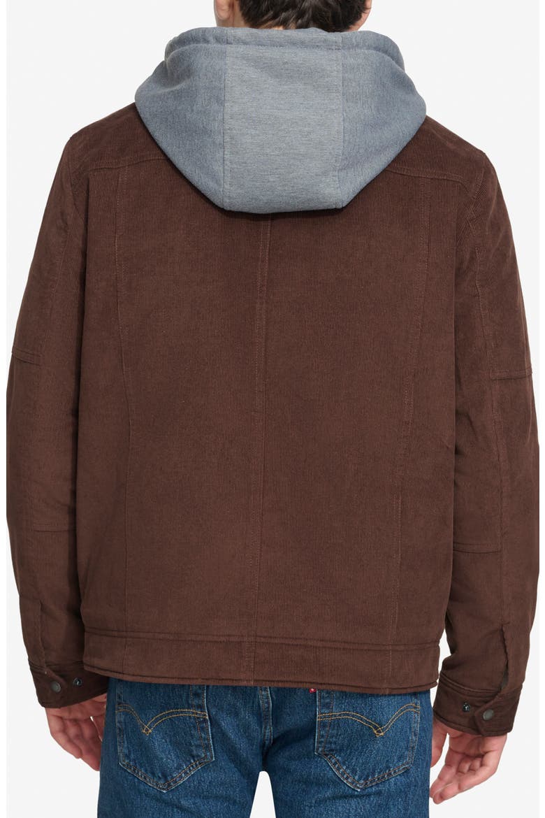 Hooded Corduroy Jacket, Alternate, color, CHOCOLATE BROWN
