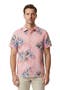  Exotic Floral Coral