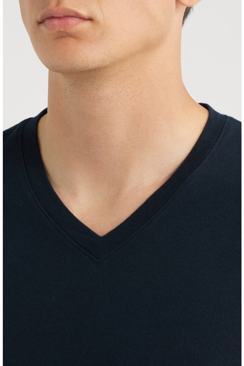 Regular Fit Garment Dyed V-Neck T-Shirt, Alternate, color, WASHED COASTAL