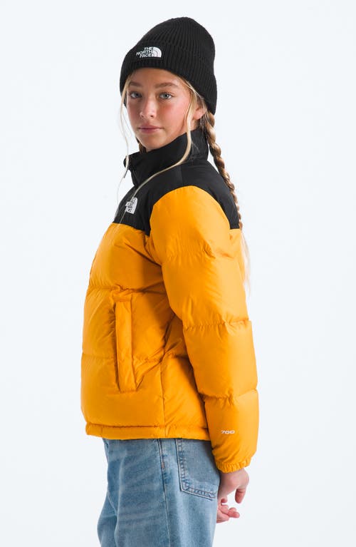 The North Face Big Kids 1996 Retro Nuptse Jacket In Multi