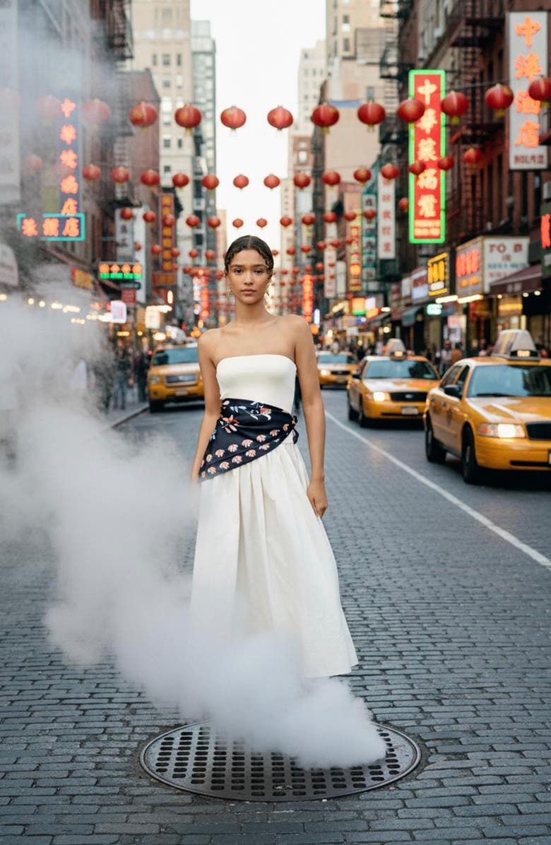 Jessie Zhao New York Double Sided Silk Scarf Midnight Garden, Alternate, color, Black