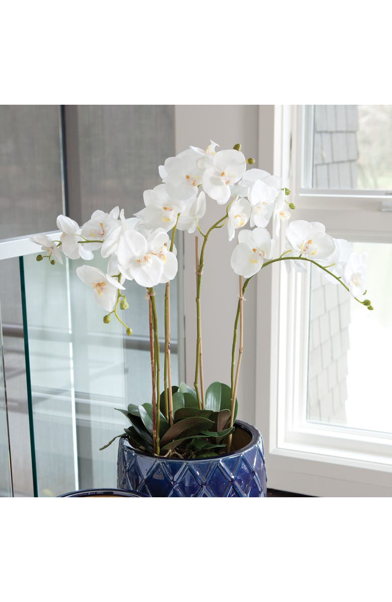 Napa Home & Garden Phalaenopsis Orchid Faux (Fake) Bowl Drop-In 25", Alternate, color, 