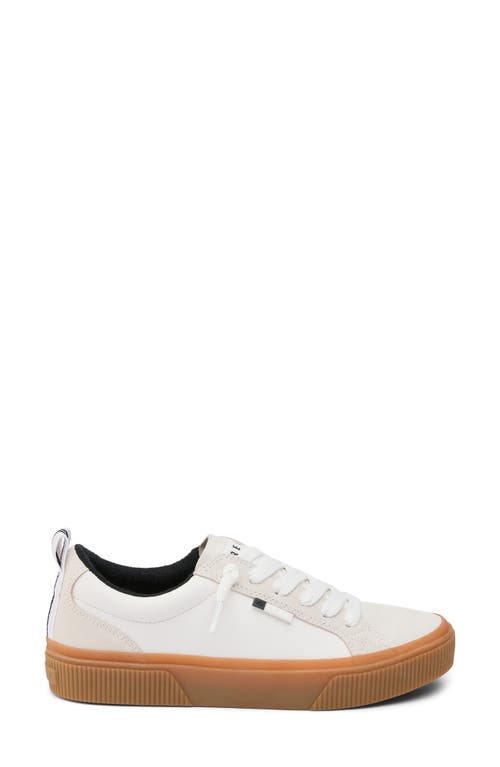 Reef Lay Day Dawn Sneaker In White Grey Gum