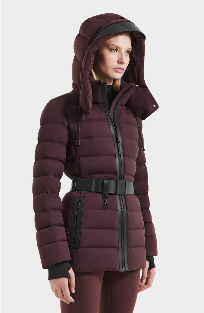 Rudsak Pelin Short Quilted Down Puffer, Alternate, color, Bordeaux