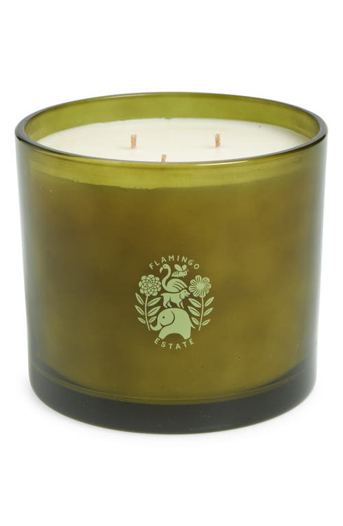 Flamingo Estate X-large Roma Heirloom Tomato Candle In Green