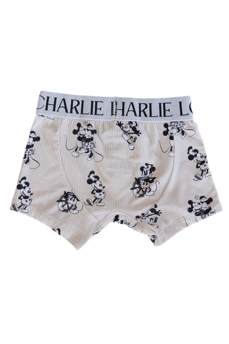 Steamboat Willie Boxer Briefs, Alternate, color, Beige