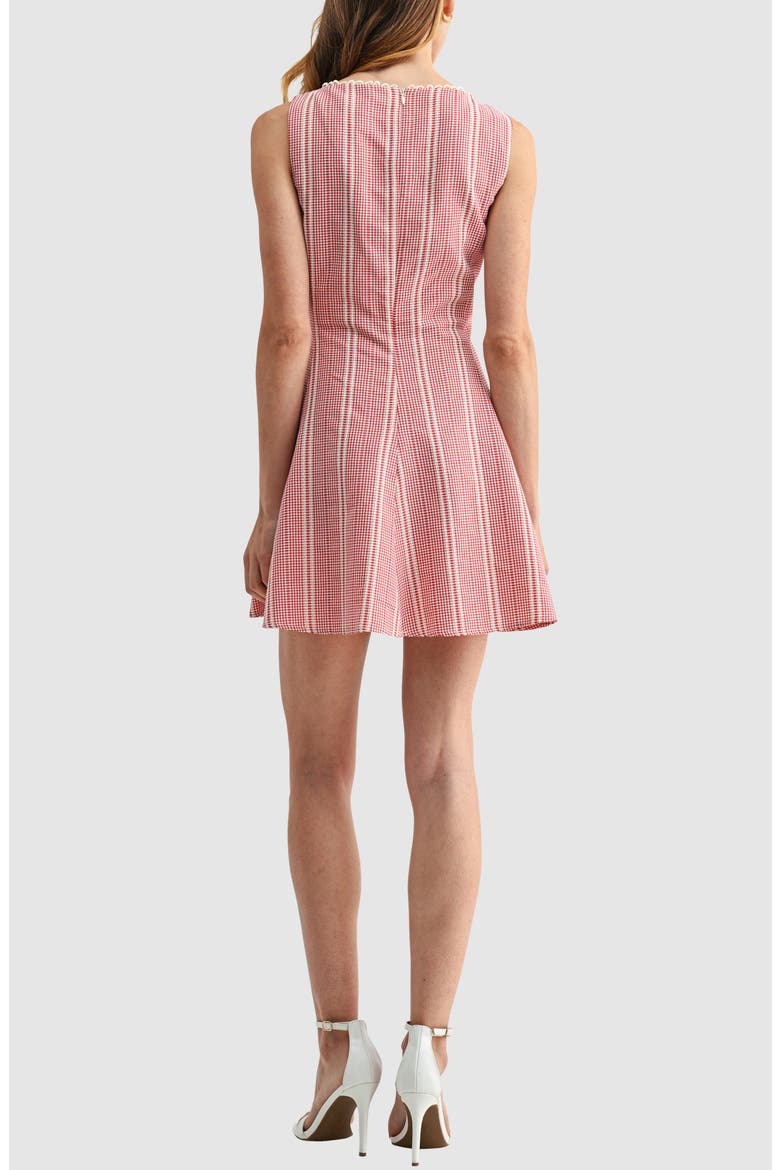 Embroidered Fit & Flare Minidress, Alternate, color, RED GINGHAM