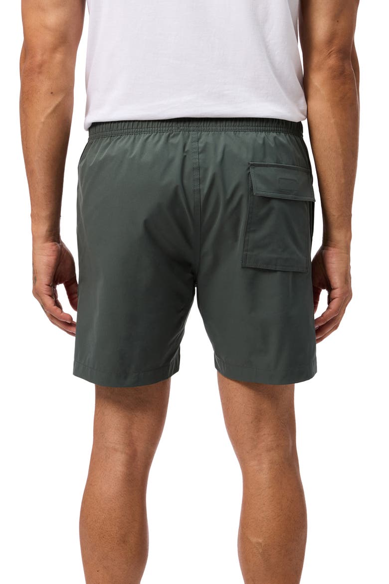 Palm View Hydrochromic Swim Trunks, Alternate, color, URBAN CHIC