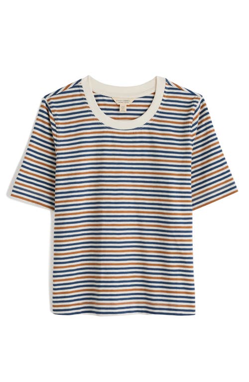 Seasalt Cornwall Copseland Stripe Organic Cotton T-shirt In Blue