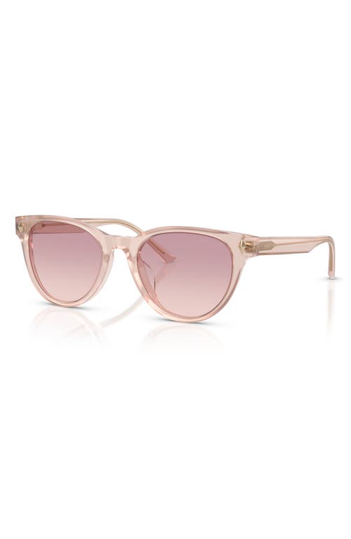 Jimmy Choo Trace 53mm Phantos Sunglasses