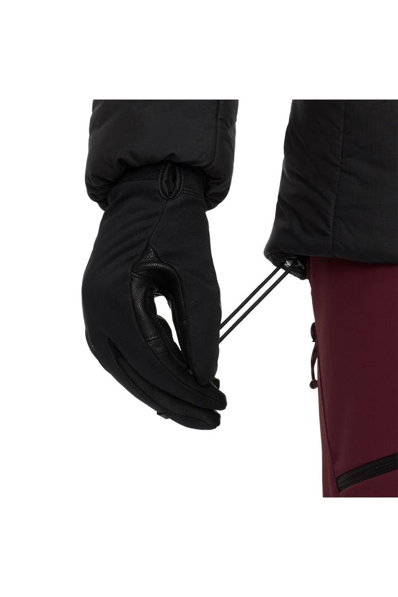 Rime Pro Belay In Hooded Jacket - Women's, Alternate, color, Black