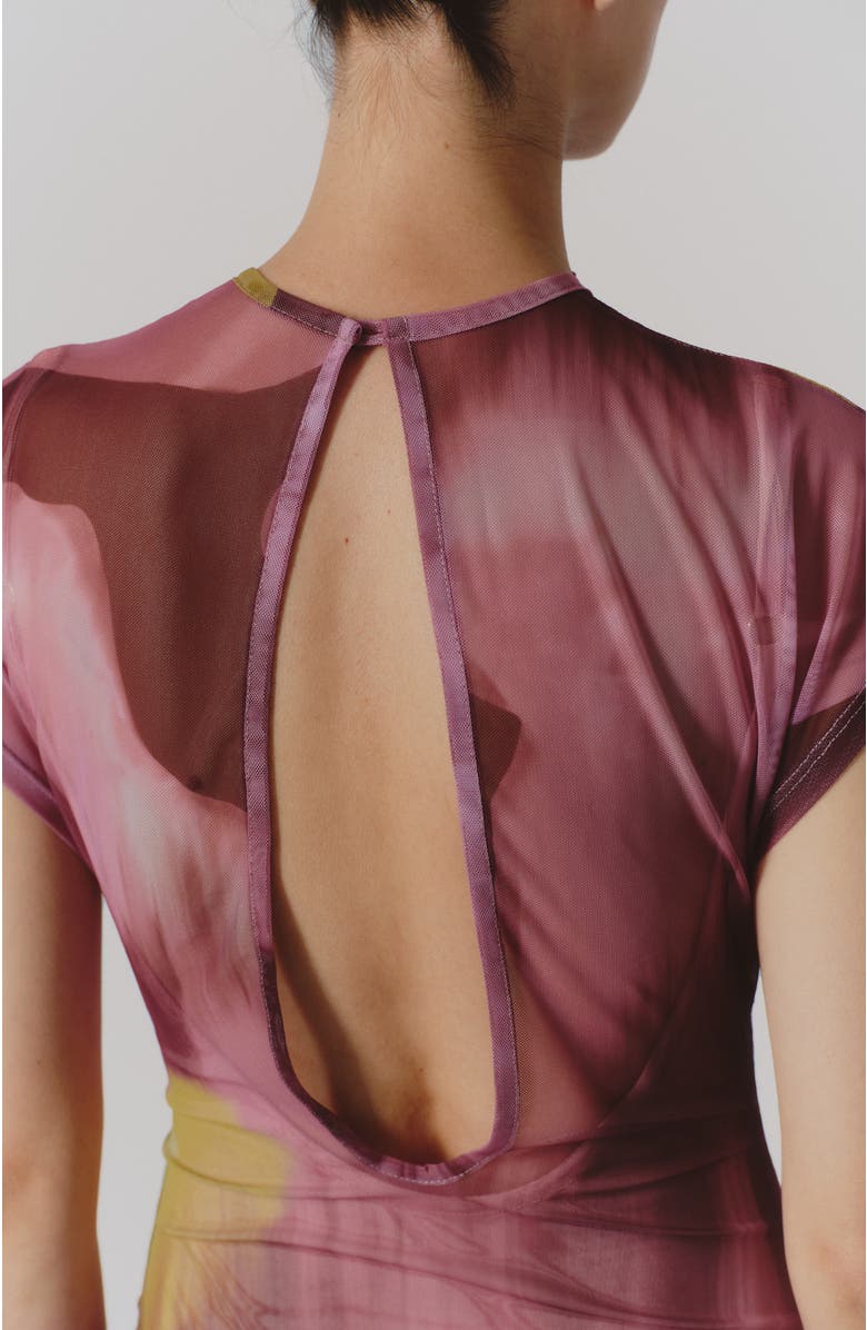 De Loreta Melodi Cap Sleeve Mesh Maxi Dress, Alternate, color, Velada Rosa Print