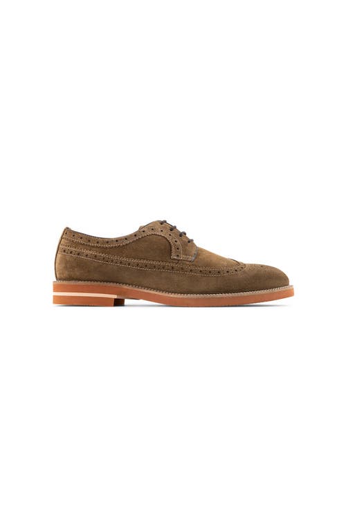 Anthony Veer Hamilton Wingtip Derby In Brown