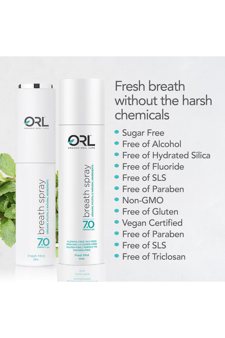 Fresh Mint Travel Collection, Alternate, color, None
