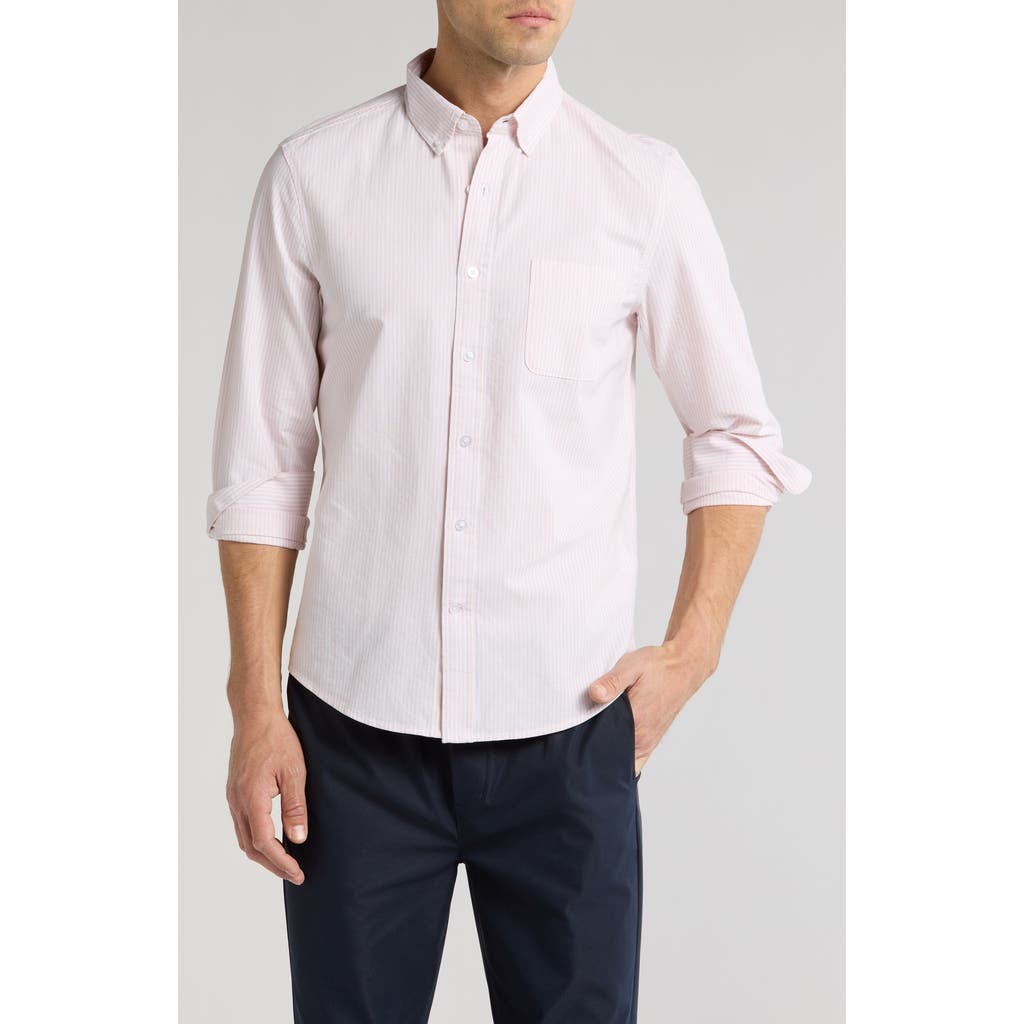 14th & Union Stripe Oxford Button-down Shirt In Pink Sepia Oxford Stripe