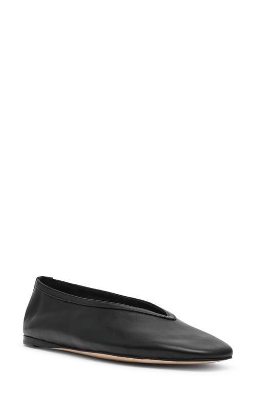 Shop Steve Madden Leni Flat In Black Leather