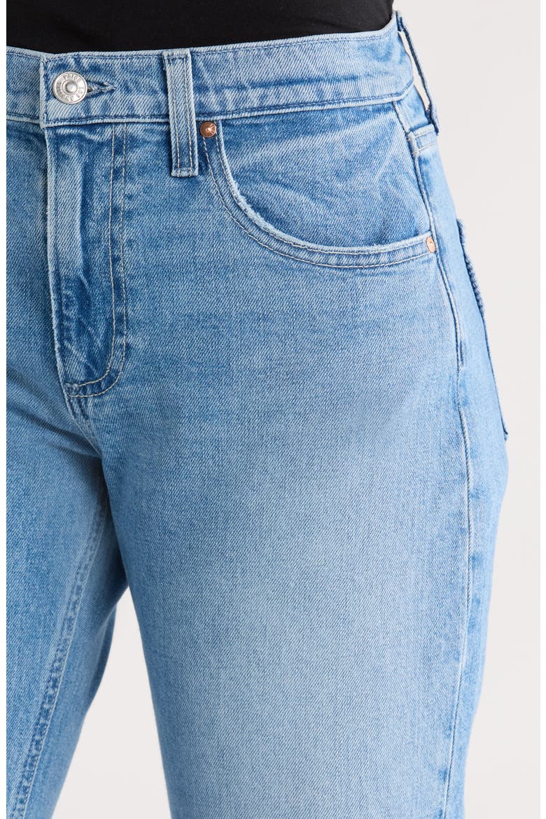 Morgan Mid Rise Ankle Straight Leg Jeans, Alternate, color, FERRERA