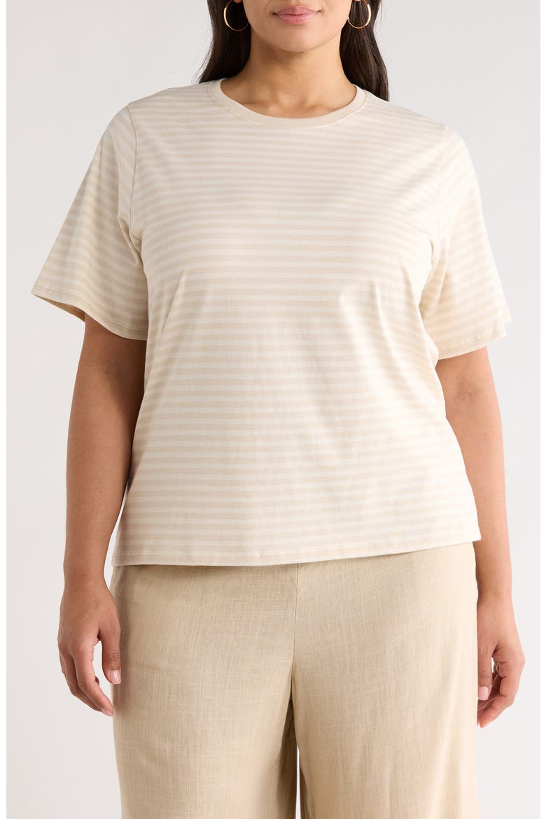 Relaxed Fit Pima Cotton Crewneck T-Shirt, Main, color, BEIGE- IVORY DAPHNEY STP