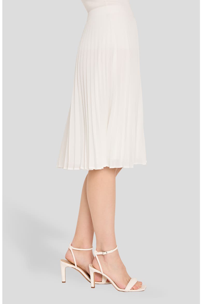 Pleated Chiffon Skirt, Alternate, color, IVORY