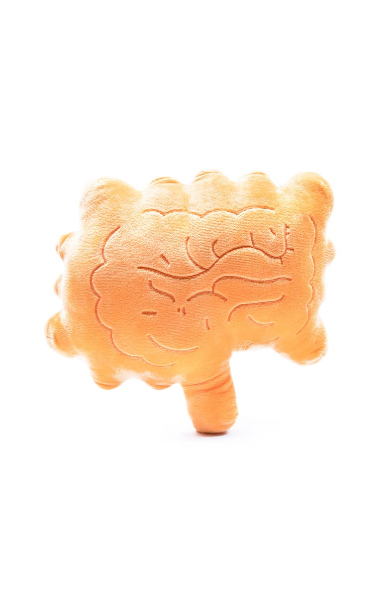 Nerdbugs Colon/Intestine Plushie Organ, Alternate, color, Light/Pastel Orange