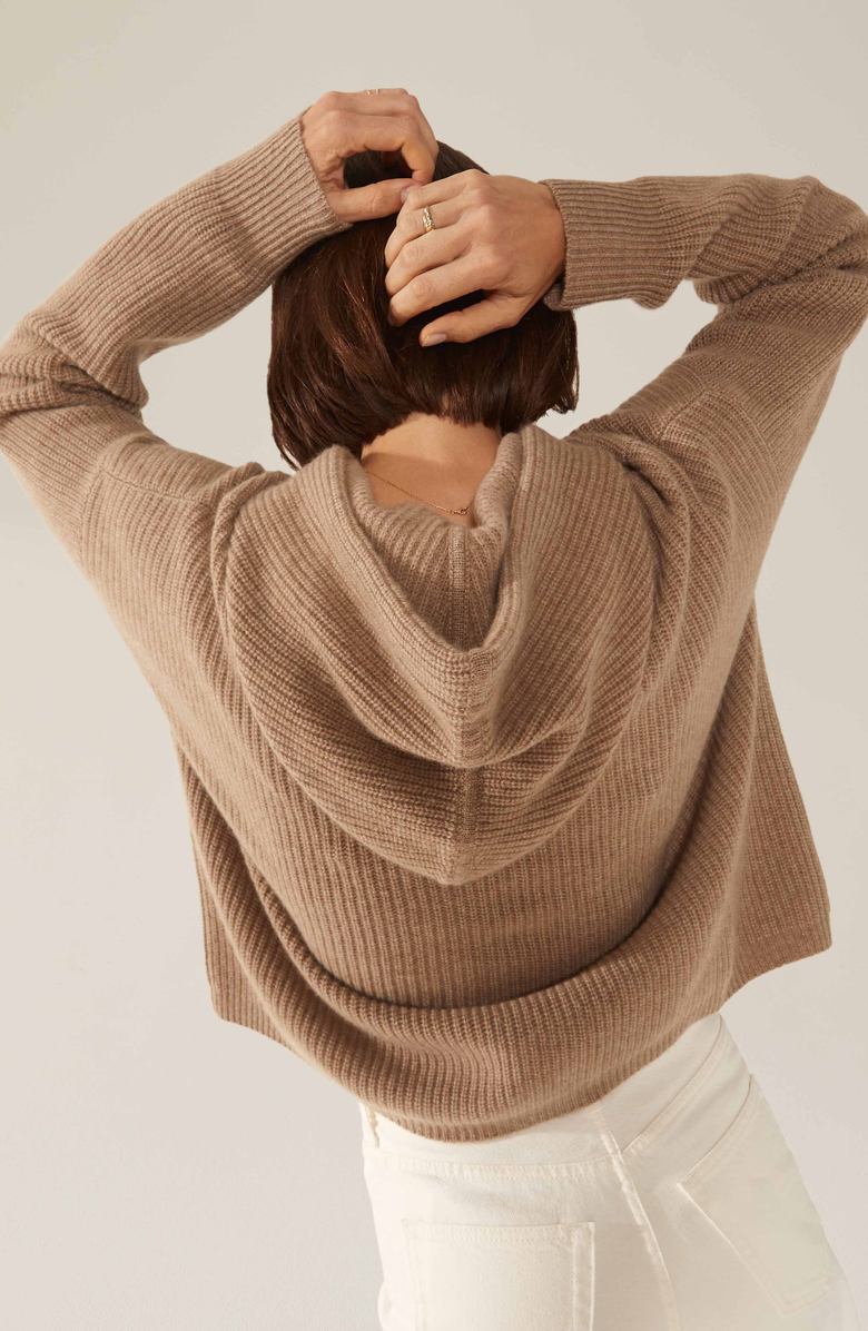 Italic Josie Chunky Cashmere Hoodie, Alternate, color, 