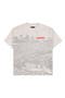 selected Ash Grey