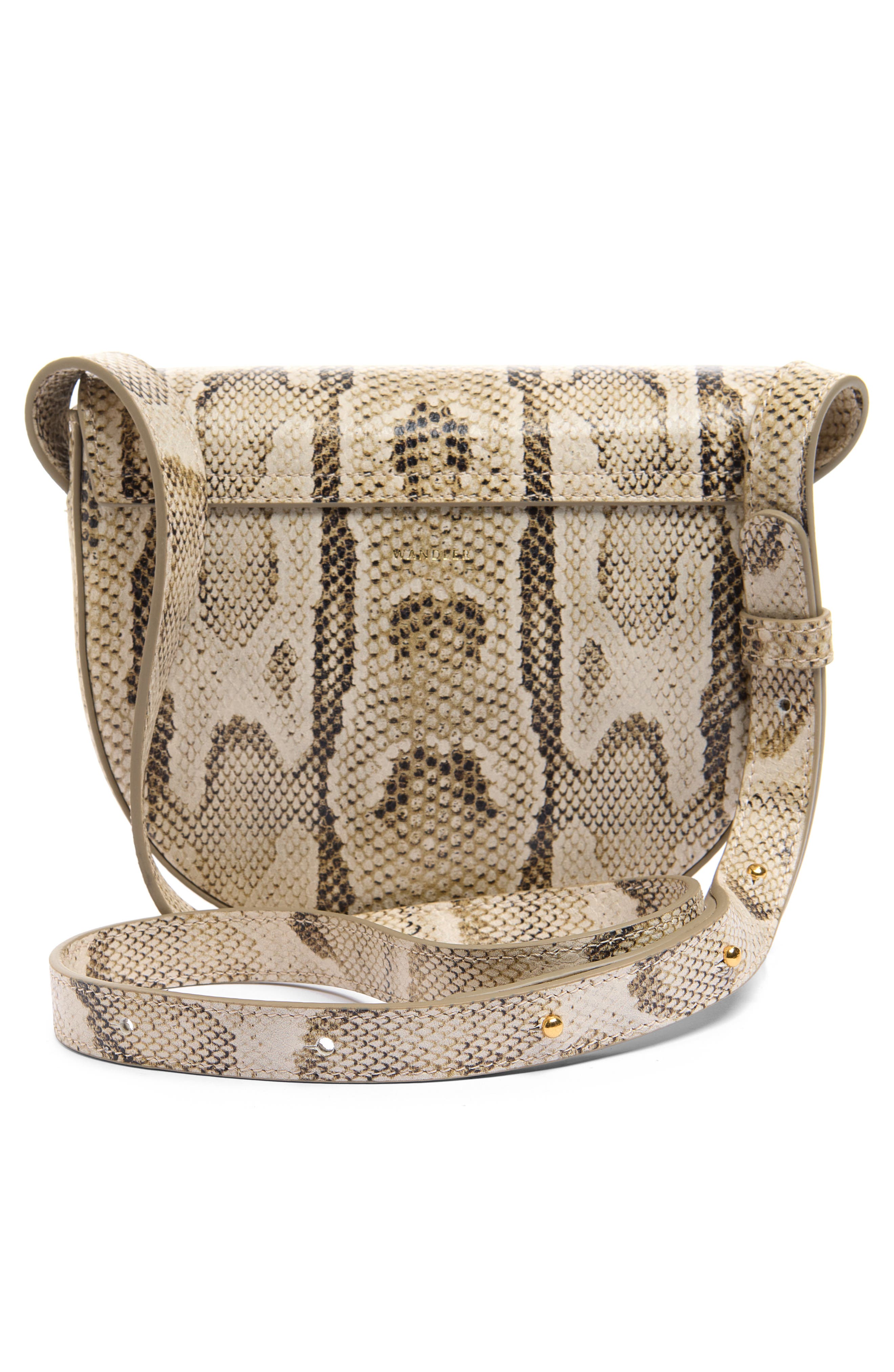 Small Veneto Snakeskin Leather Crossbody Bag, Alternate, color, ISLAND PYTHON