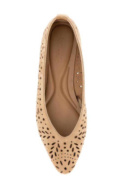 Splendid Latouche Perf Flat In Brown