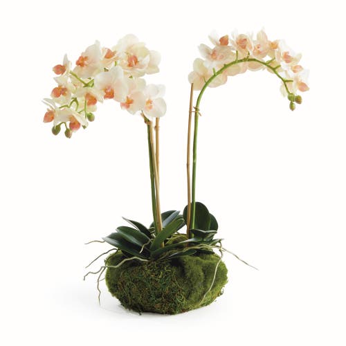 Napa Home & Garden Phalaenopsis Mini Garden Artificial Plant Drop-in In Green
