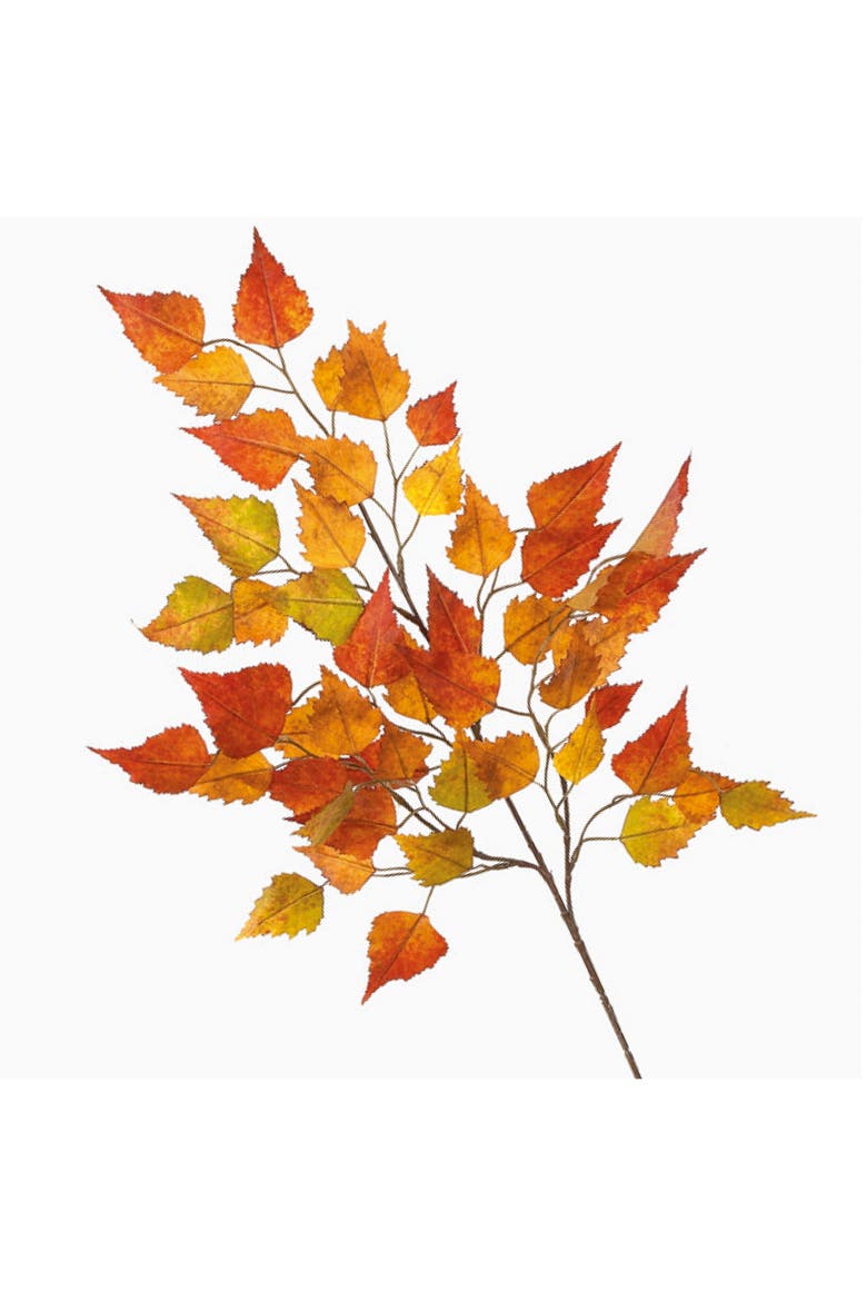 Sullivan's Birch Spray, Orange Faux Floral Stem for Crafting, Weddings, Home and Holiday Decoration, 26 Inch, Main, color, Orange