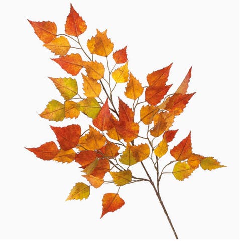 Sullivan's Birch Spray, Orange Faux Floral Stem for Crafting, Weddings, Home and Holiday Decoration, 26 Inch