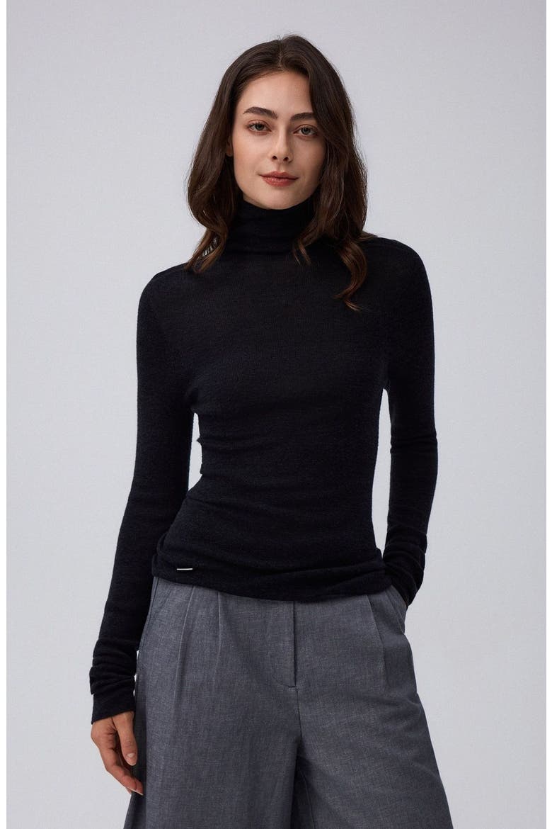 Ossa Knitted Hemp Turtleneck, Alternate, color, black