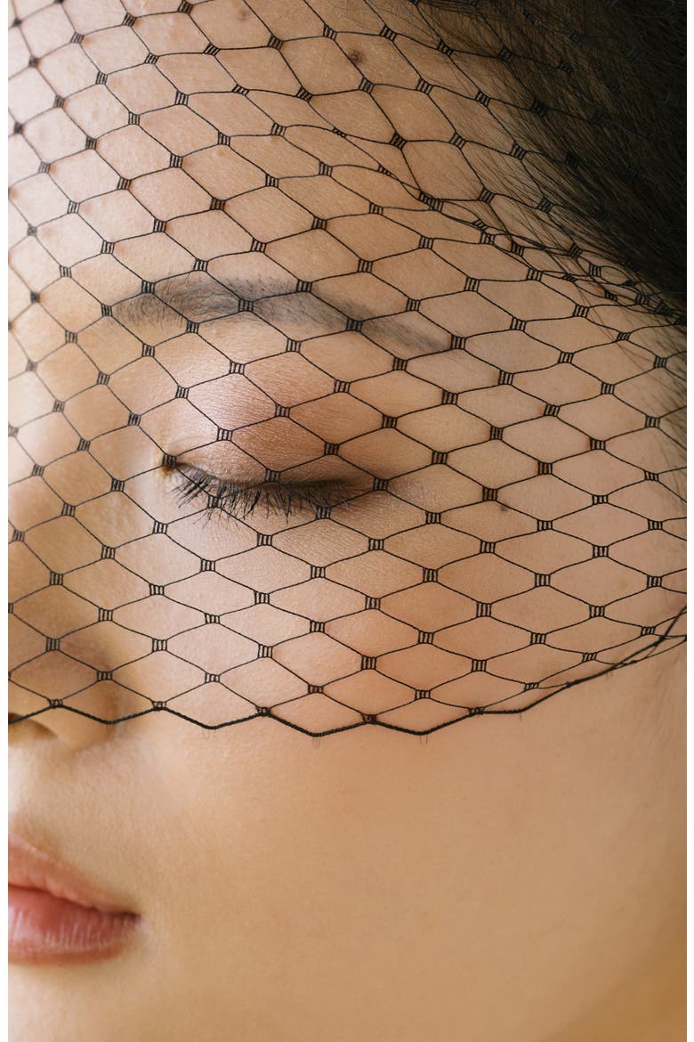 Voilette Silk Headband with Mesh Veil, Alternate, color, BLACK