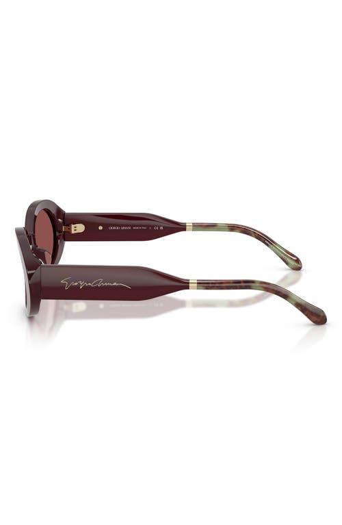 Giorgio Armani 52mm Oval Sunglasses In Brown