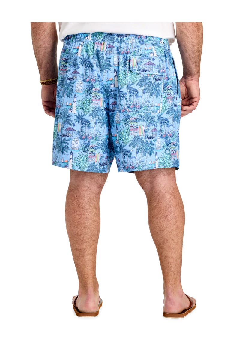 Big & Tall Scenic Chappy Swim Trunks, Alternate, color, KEYS TOUCAN