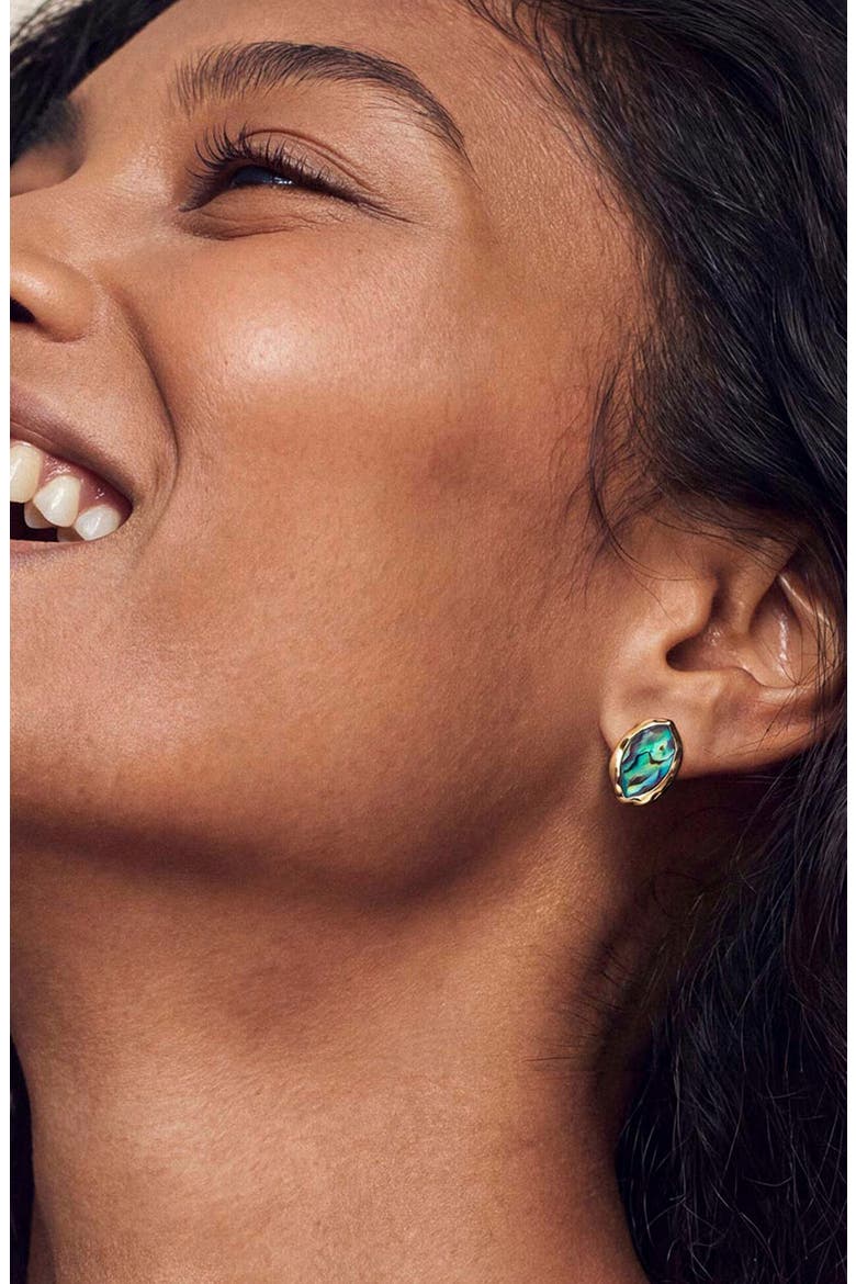 Mini Abalone Luxe Stud Earrings, Alternate, color, ABALONE